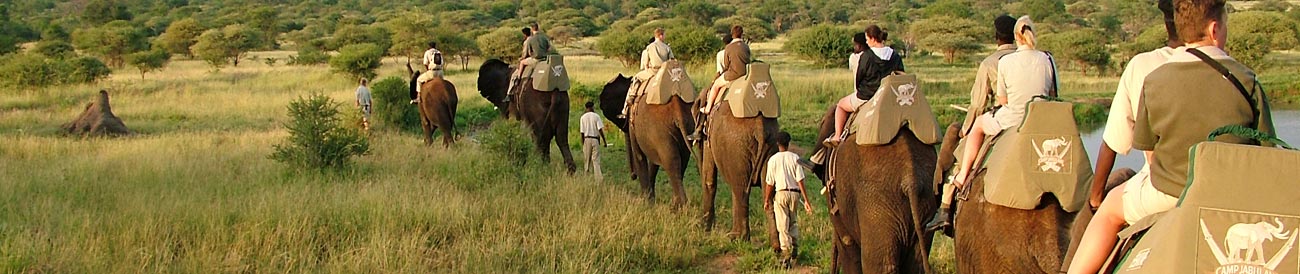 Luxury Spa & Safari Honeymoon